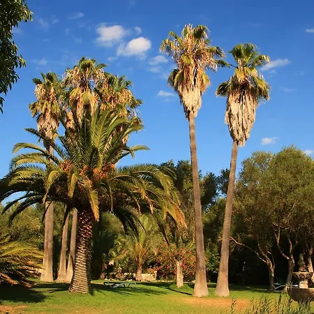 Rural Predio Son Serra Country house Can Picafort (Mallorca)