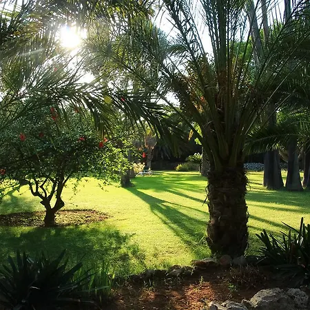 Rural Predio Son Serra Country house *