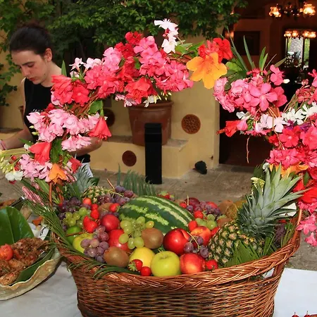 Rural Predio Son Serra Country house Can Picafort (Mallorca)