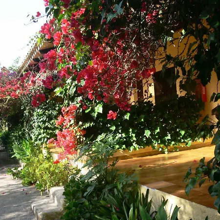 Country house Rural Predio Son Serra
